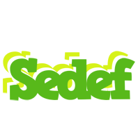 Sedef picnic logo