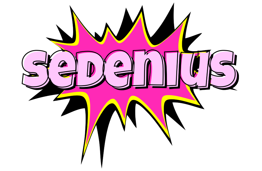 Sedenius badabing logo