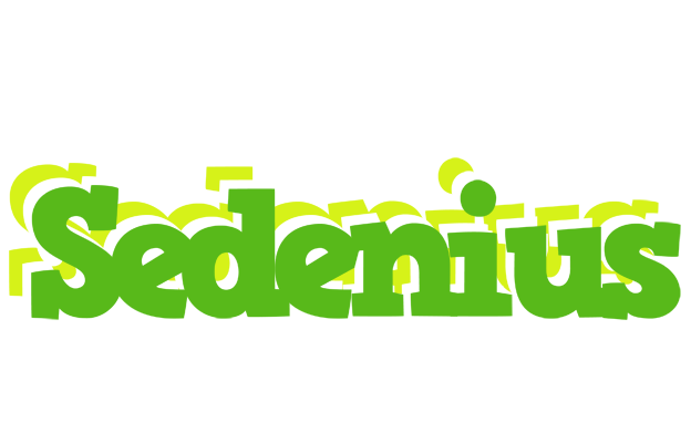 Sedenius picnic logo