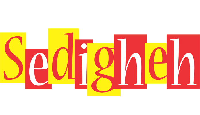 Sedigheh errors logo