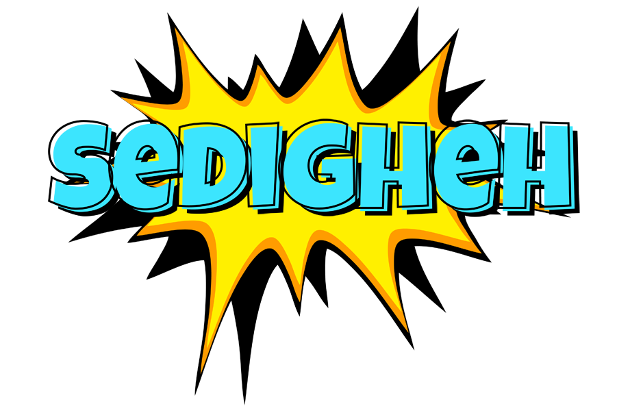 Sedigheh indycar logo