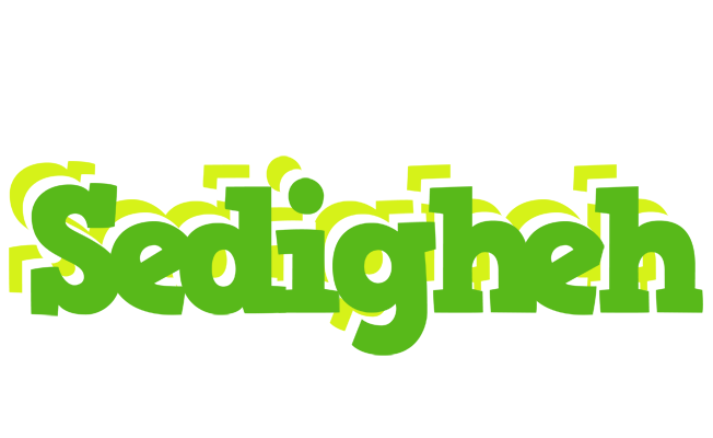 Sedigheh picnic logo