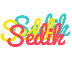 Sedik disco logo