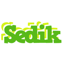 Sedik picnic logo