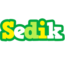 Sedik soccer logo