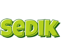 Sedik summer logo