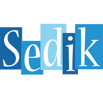Sedik winter logo