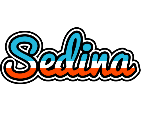 Sedina america logo