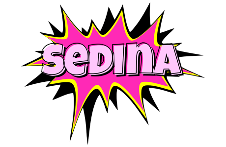 Sedina badabing logo