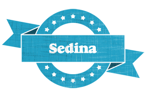 Sedina balance logo