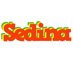 Sedina bbq logo