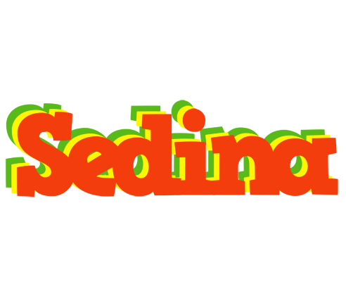 Sedina bbq logo