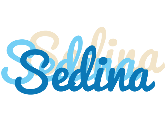 Sedina breeze logo