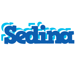 Sedina business logo