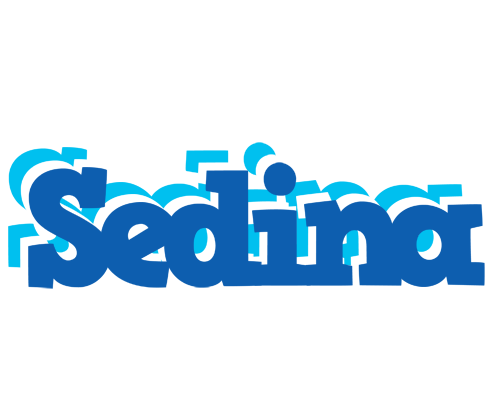 Sedina business logo