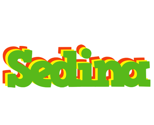 Sedina crocodile logo