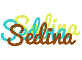 Sedina cupcake logo