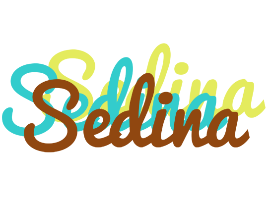 Sedina cupcake logo