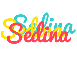 Sedina disco logo