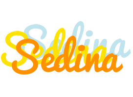Sedina energy logo