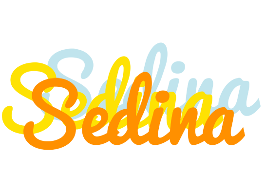 Sedina energy logo