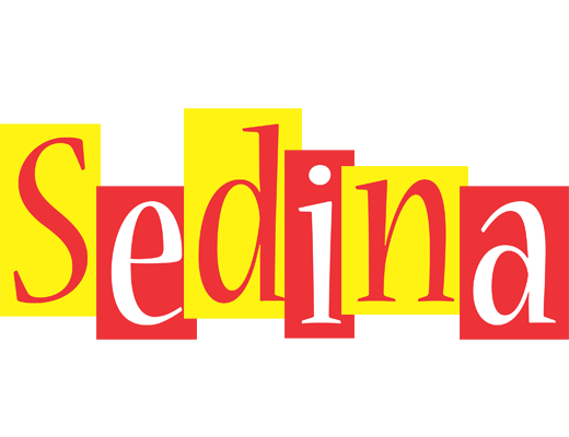Sedina errors logo