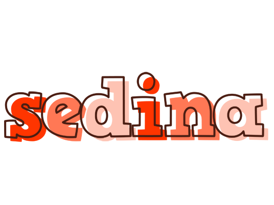 Sedina paint logo