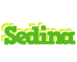 Sedina picnic logo