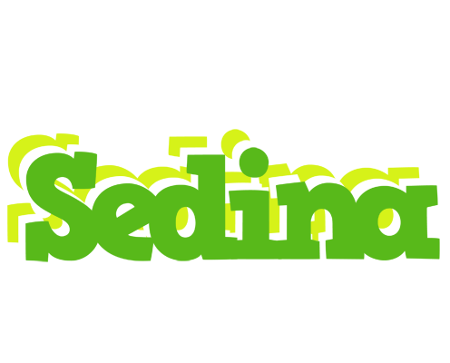Sedina picnic logo