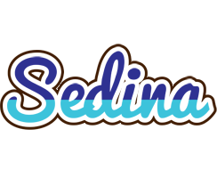 Sedina raining logo