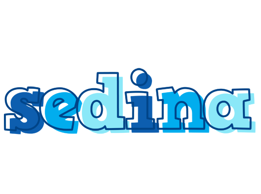 Sedina sailor logo