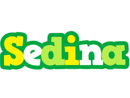Sedina soccer logo