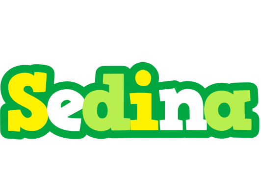 Sedina soccer logo