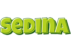 Sedina summer logo