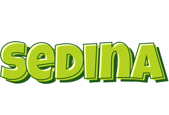 Sedina summer logo