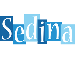 Sedina winter logo