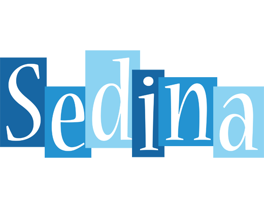 Sedina winter logo
