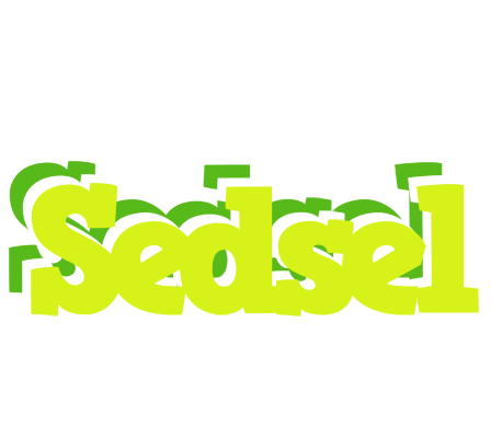 Sedsel citrus logo