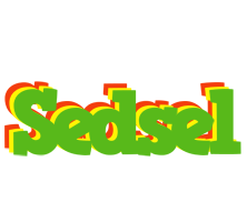 Sedsel crocodile logo