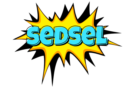 Sedsel indycar logo