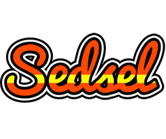 Sedsel madrid logo