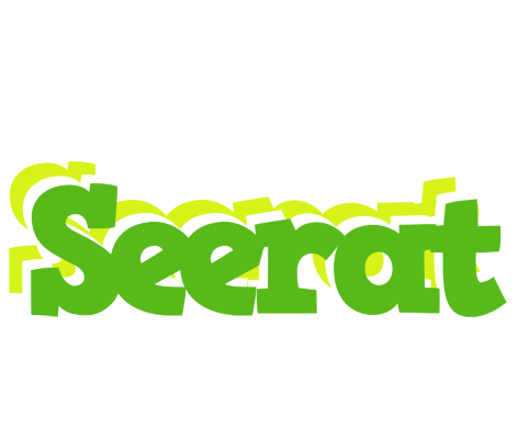 Seerat picnic logo