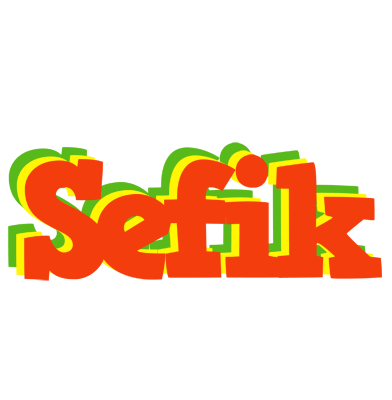 Sefik bbq logo