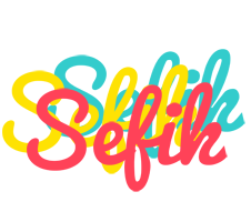 Sefik disco logo