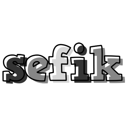 Sefik night logo