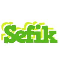 Sefik picnic logo