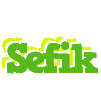 Sefik picnic logo