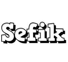 Sefik snowing logo