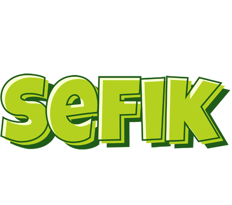 Sefik summer logo