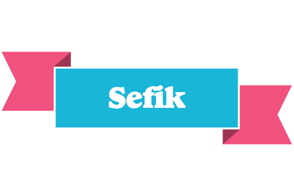 Sefik today logo